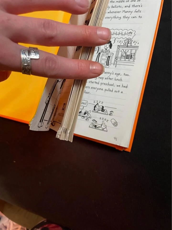 Diary of a Wimpy Kid the Long haul children’s book - photo 3