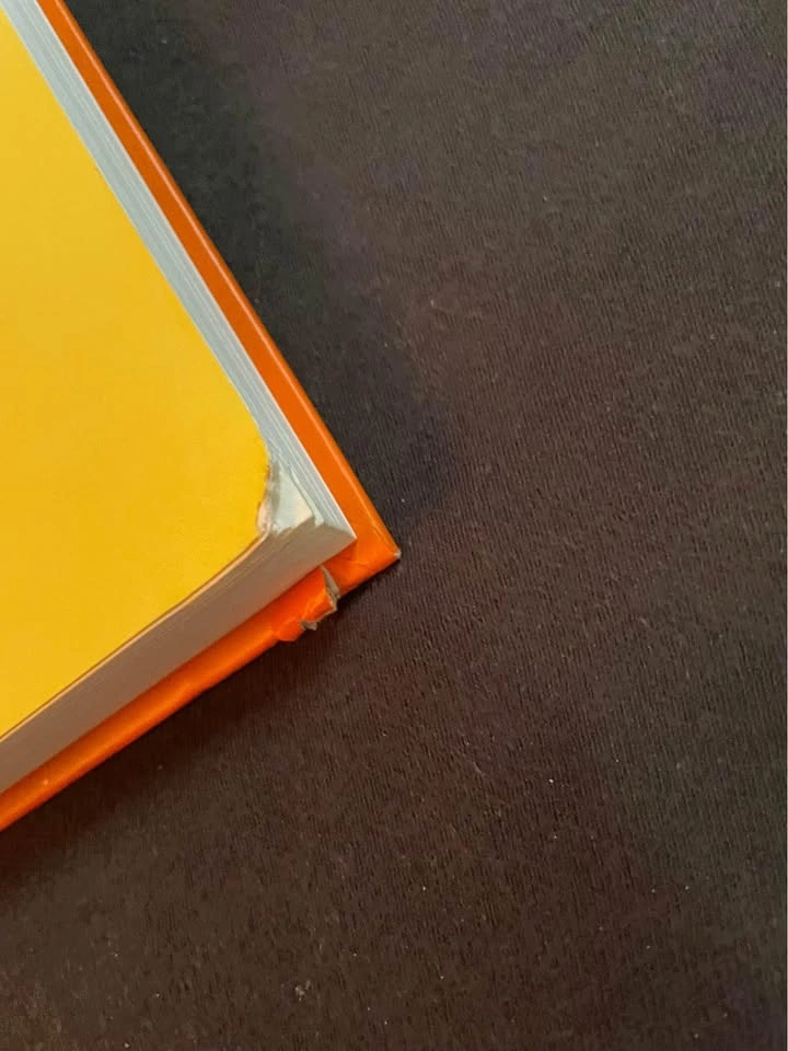 Diary of a Wimpy Kid the Long haul children’s book - photo 4