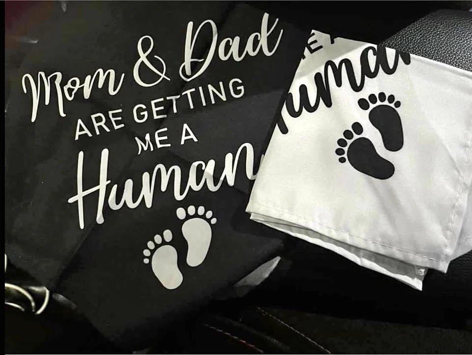 Dog Bandana Baby Announcment