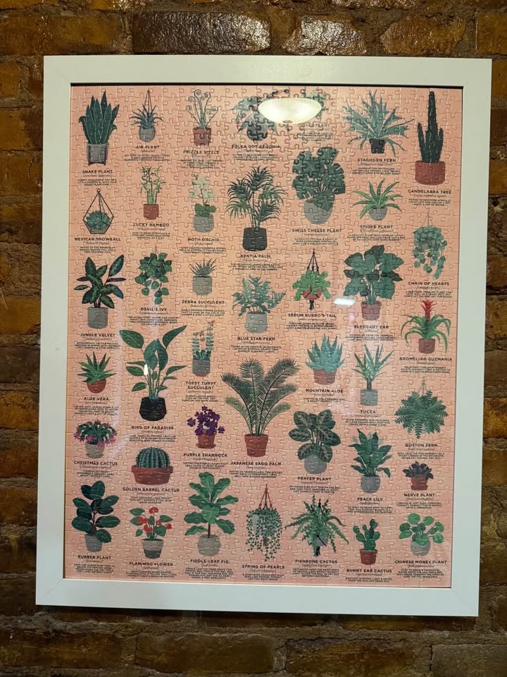 Framed Dog & Plant Puzzles - photo 2
