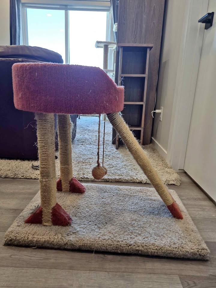 Cat Tree (2ft)