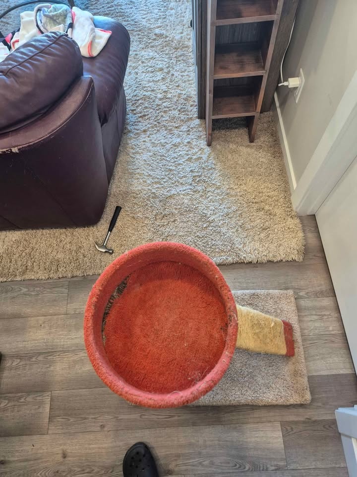 Cat Tree (2ft) - photo 2