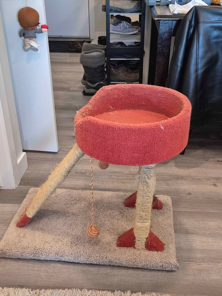 Cat Tree (2ft) - photo 3