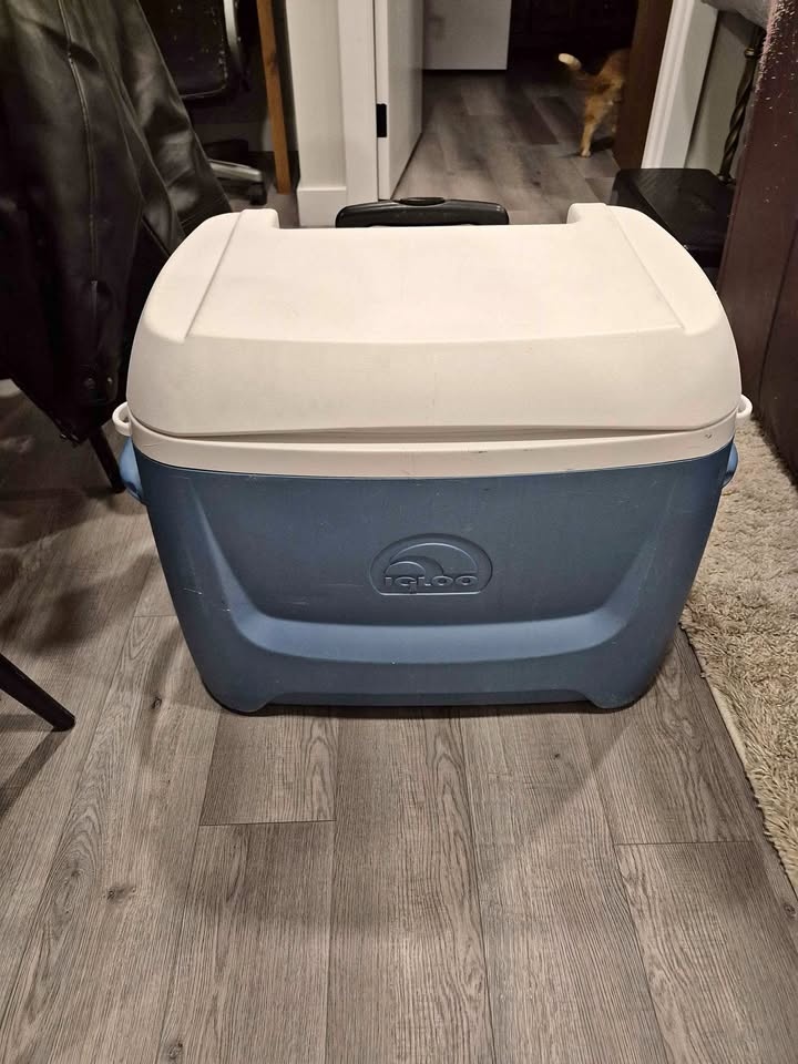 Igloo Cooler (Good used)
