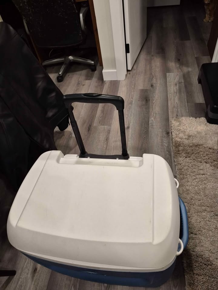 Igloo Cooler (Good used) - photo 3