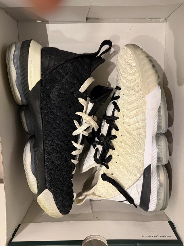 Lebron 16 equality sz 10