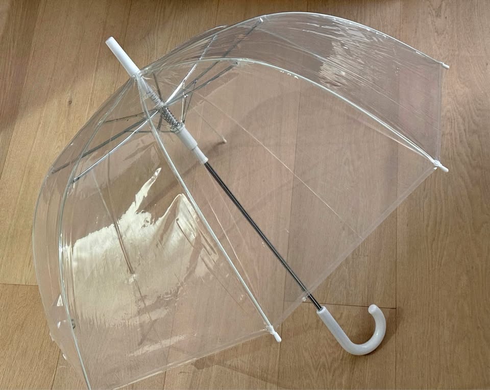 Umbrella - Transparent Dome