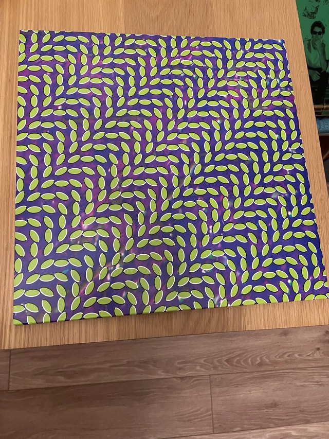 Animal Collective Vinyl LP Record - photo 2