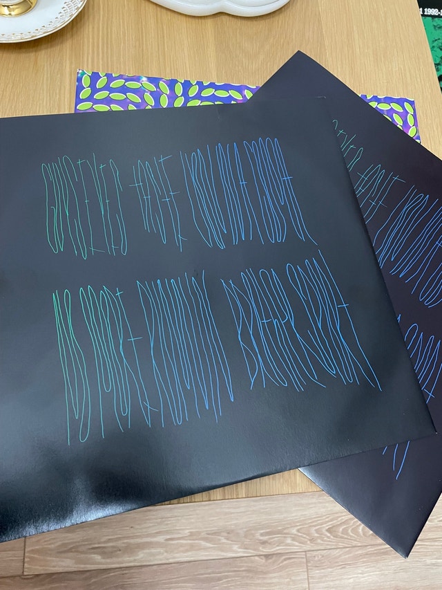 Animal Collective Vinyl LP Record - photo 4