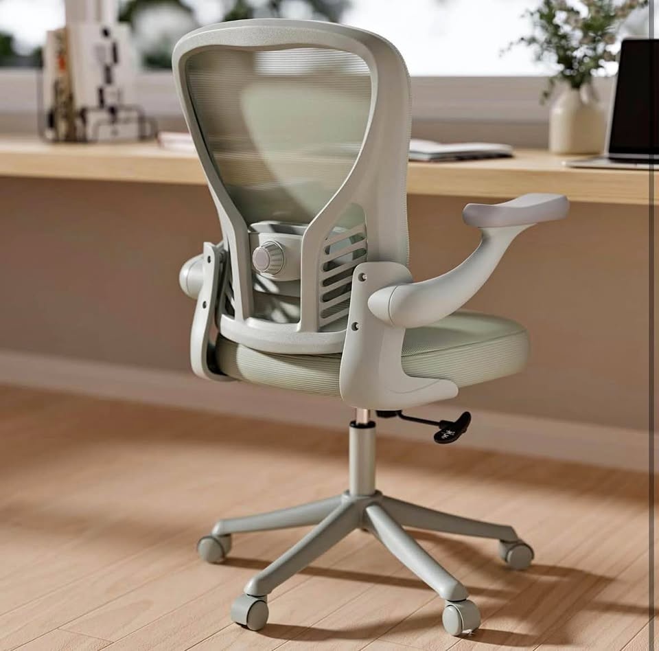 Office chair, ergonomic desk chair