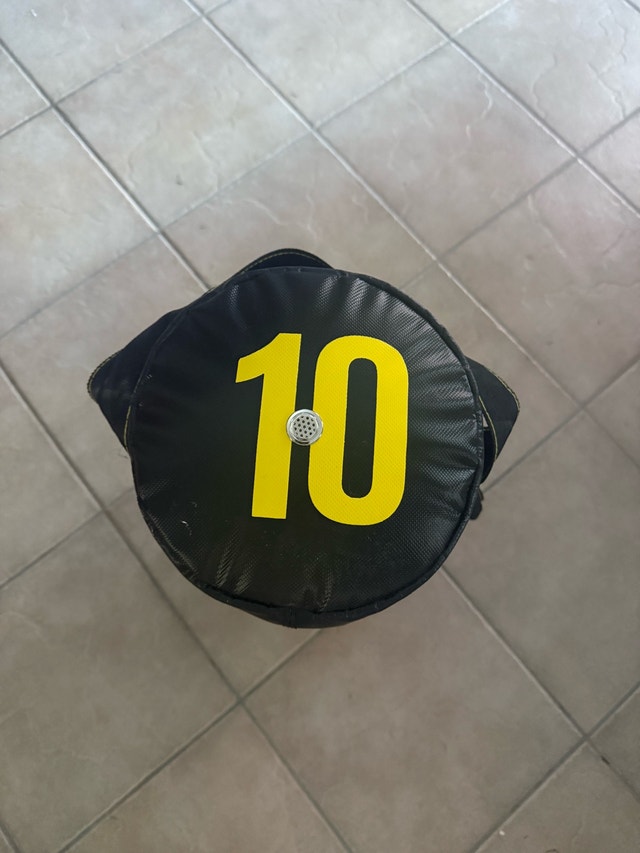 Ziva Sandbag 10lb - photo 2