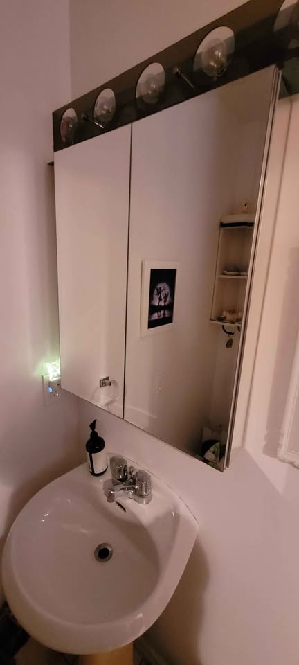 Glacier Bay Medicine Cabinet with Beveled Mirror - photo 2