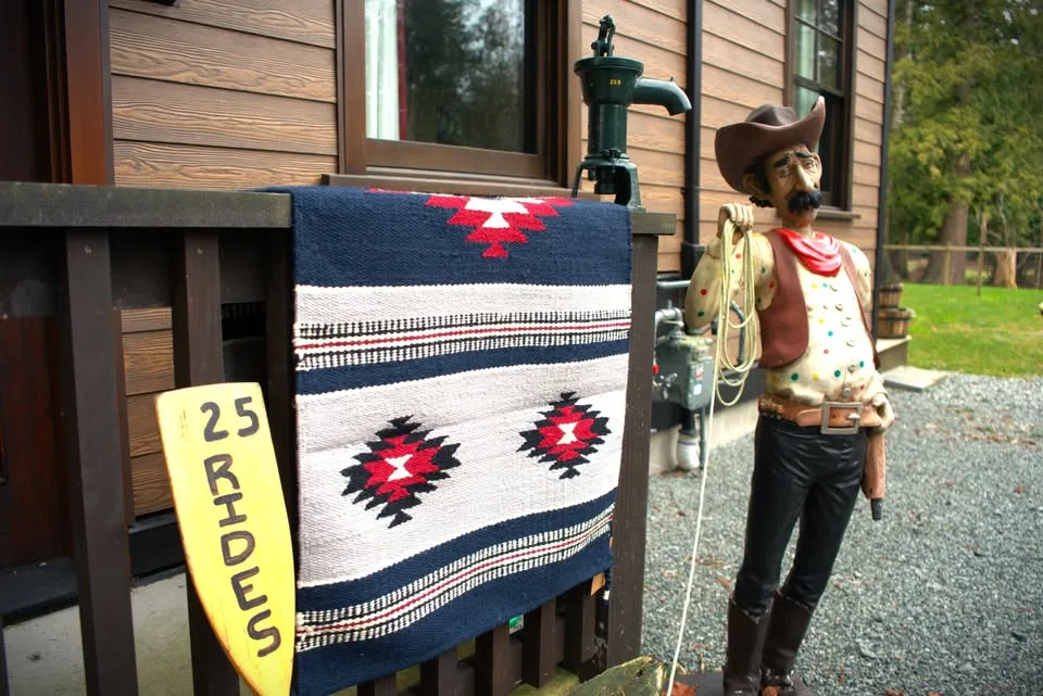 Navajo 🥕"Horse / Saddle Blanket", Rug image indicator(4)