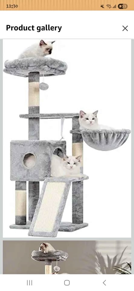 Cat tree