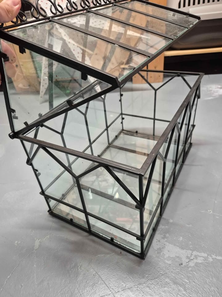 Terrarium plant, glass house - photo 2