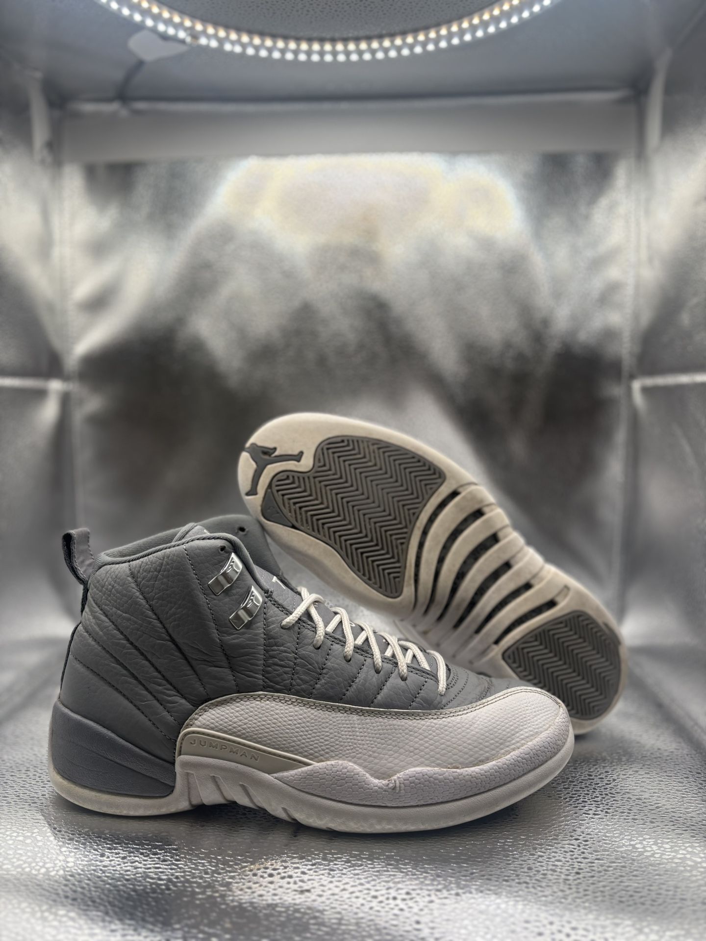 Air Jordan 12 Stealth
