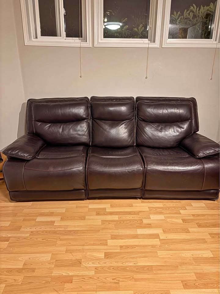 Leather recliner, electric control