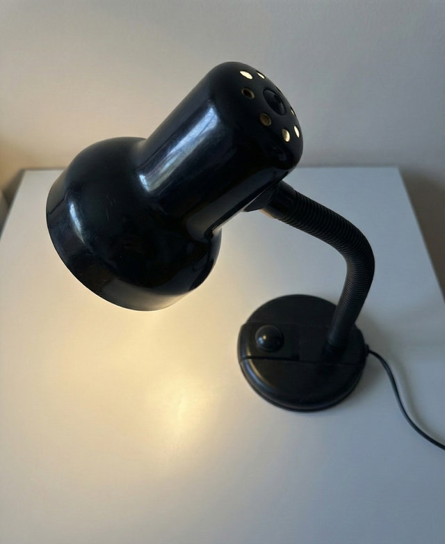 Adjustable Gooseneck Desk Lamp (Black)