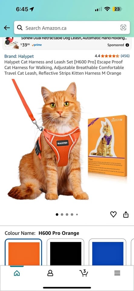 Pet collars - many sizes and designs available