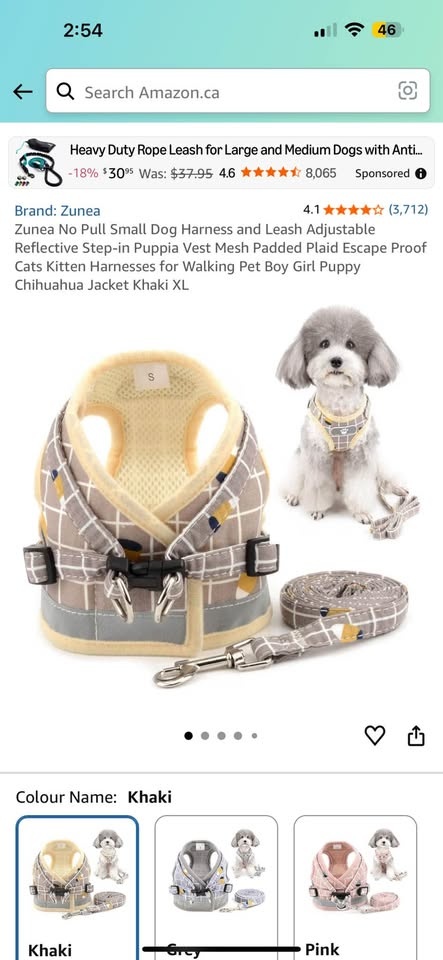 Pet collars - many sizes and designs available - photo 2