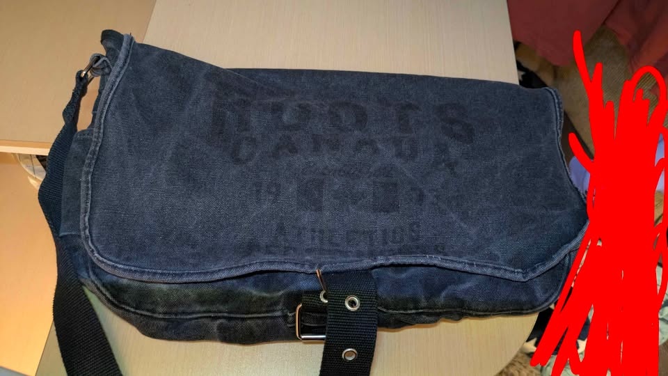 Black canvas Roots bag - photo 3