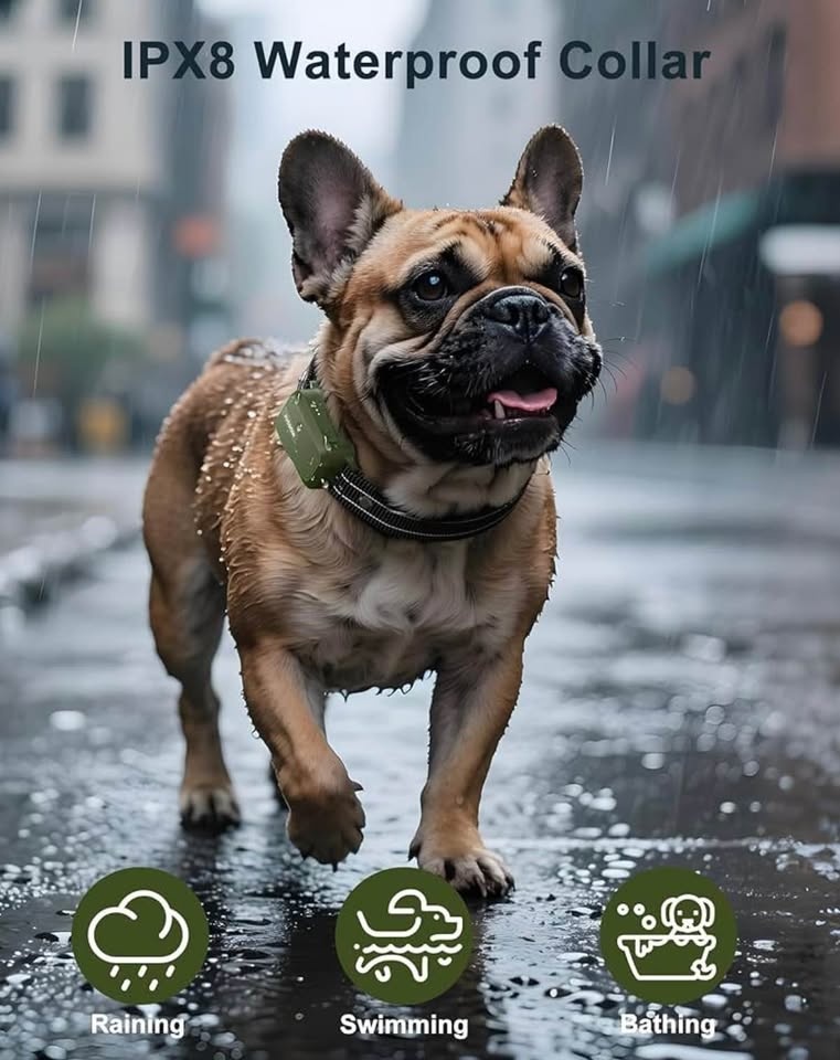 Jugbow Dog Shock Collar - photo 4