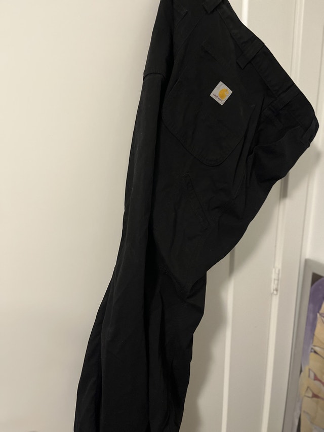 Carhartt Pants - photo 3