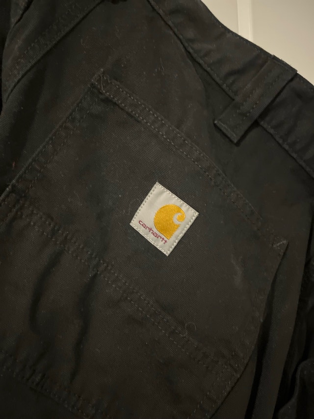 Carhartt Pants - photo 4