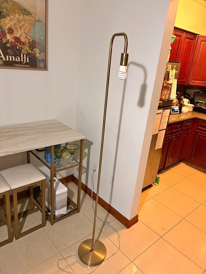 Matte Brass Floor Lamp