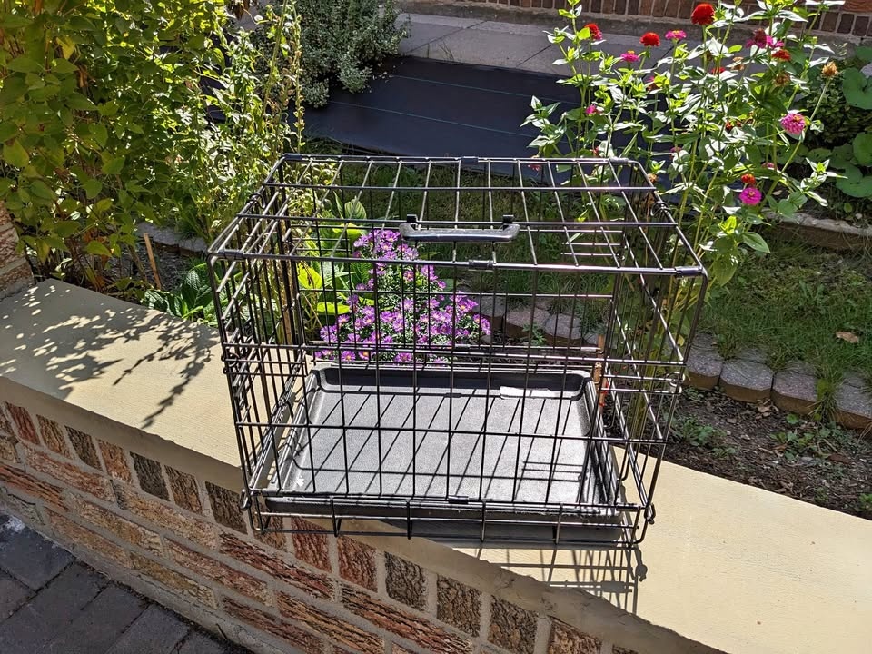 XS Dog Crate