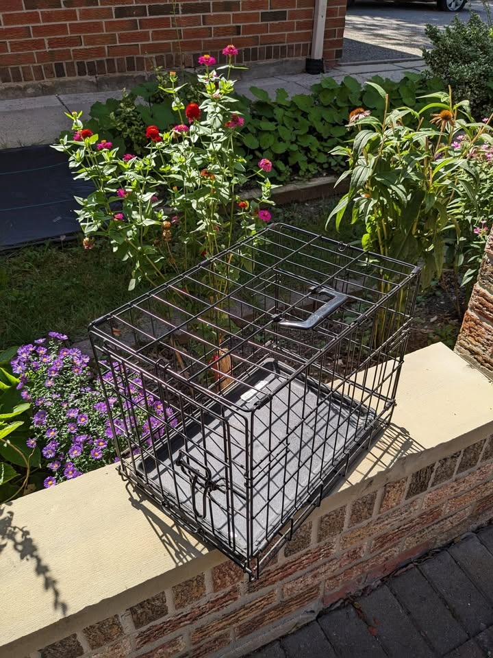 XS Dog Crate - photo 2