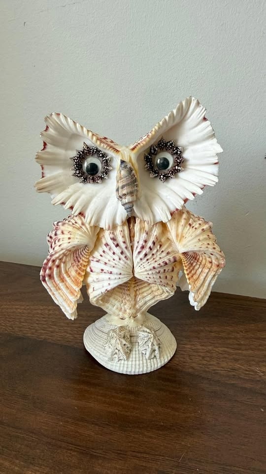 Handmade Seashell Owl Figurine – Unique Coastal Decor - photo 2