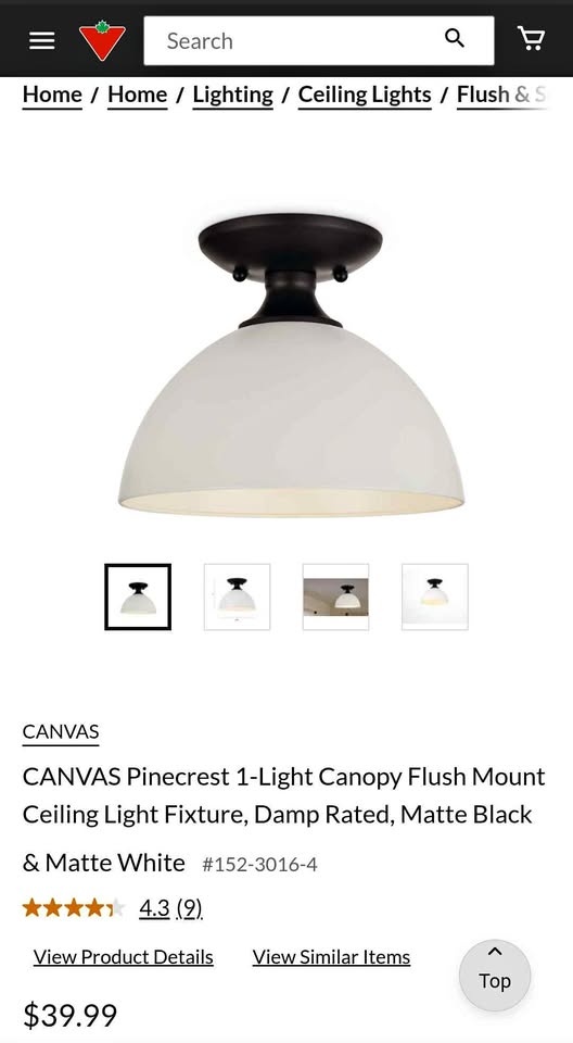 CANVAS Pinecrest 1-Light Ceiling Light
