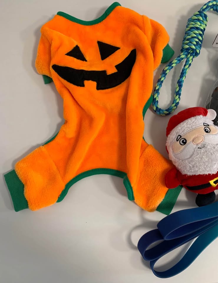 Dog toys-clothes-leash- boots - photo 2