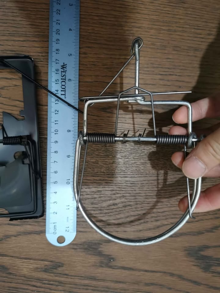 Brand New Large Metal Rat Mouse Trap Very Effective - photo 3