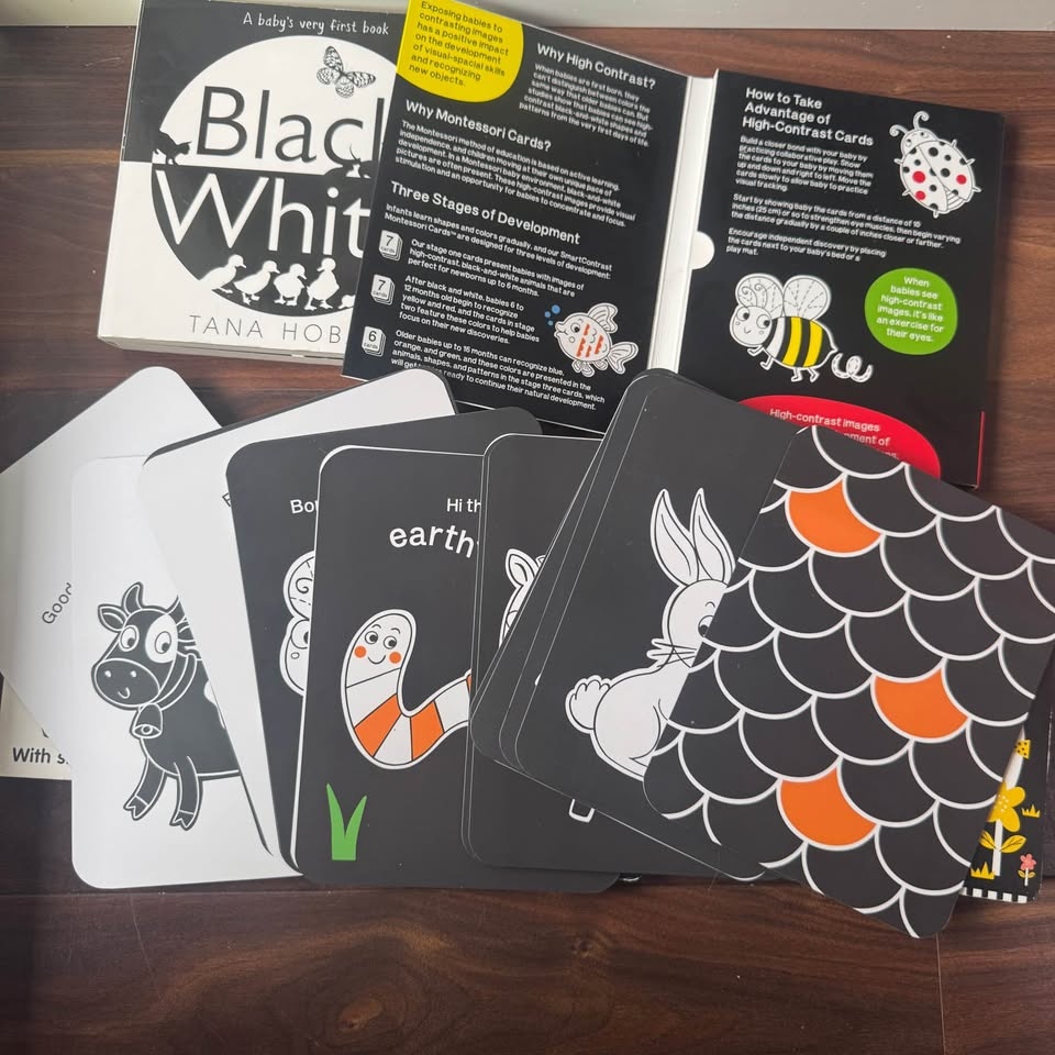 Baby Black&White Books and Flashcards Bundle - photo 2