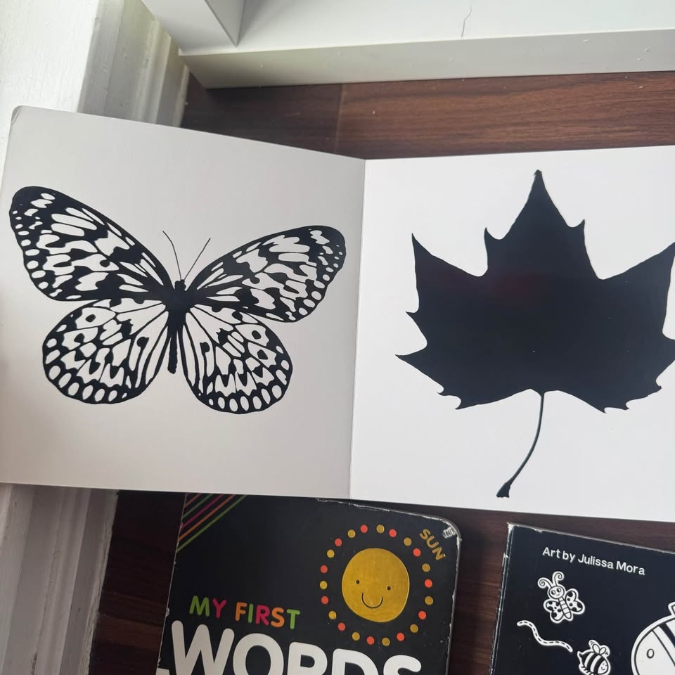 Baby Black&White Books and Flashcards Bundle - photo 3