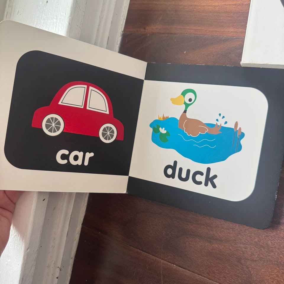 Baby Black&White Books and Flashcards Bundle - photo 5