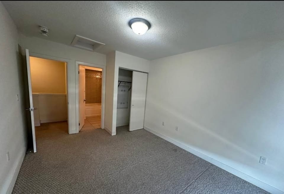 2 Beds 2 Baths - Apartment - photo 3