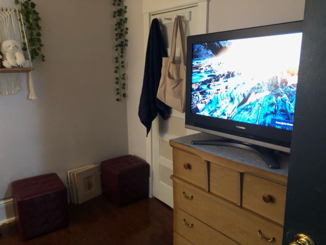 Furnished 1-Bedroom Sublet in Kingston - photo 2