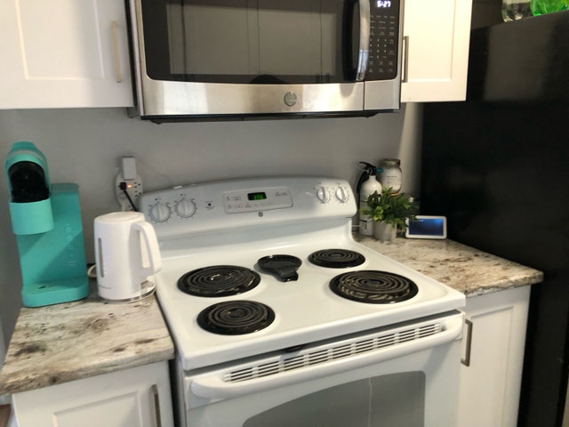 Furnished 1-Bedroom Sublet in Kingston - photo 4