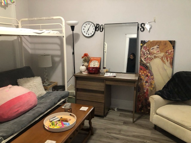Furnished 1-Bedroom Sublet in Kingston - photo 5