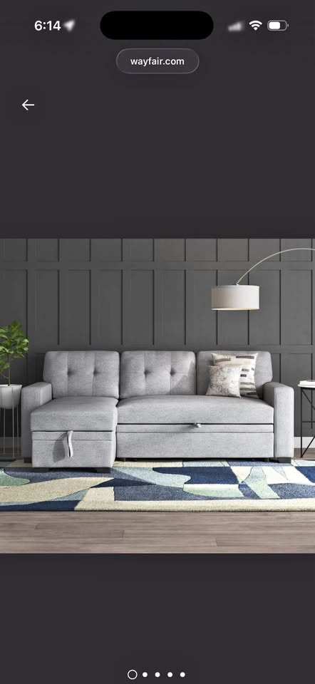 Wayfair Sectional with Storage Chaise & Pullout