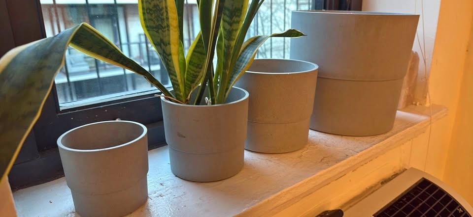 Grey Pot/Planter Set (4) Incls Plant 🌱