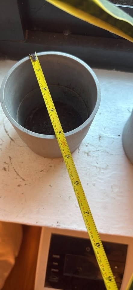 Grey Pot/Planter Set (4) Incls Plant 🌱 - photo 5