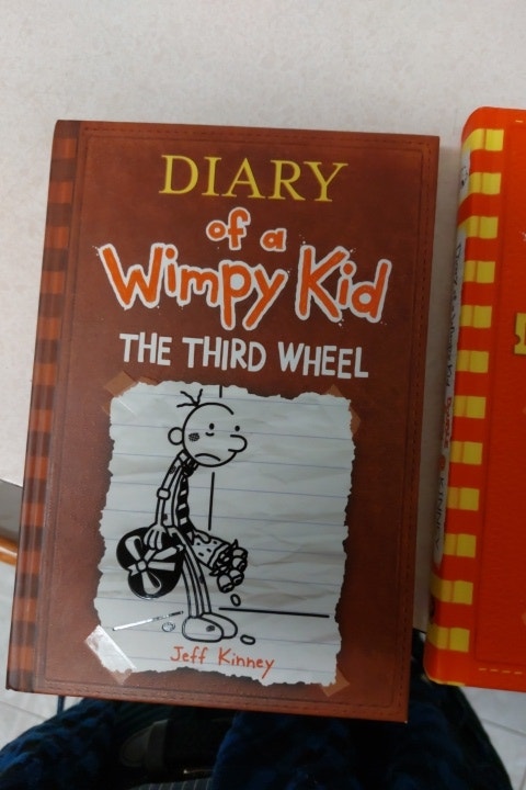3 books - DIARY of a WIMPY KID
