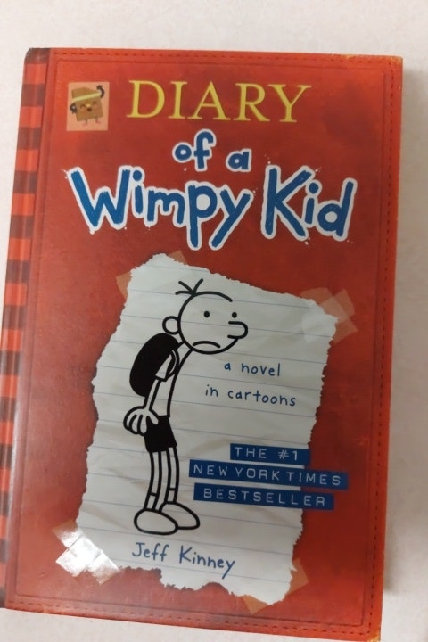 3 books - DIARY of a WIMPY KID - photo 3