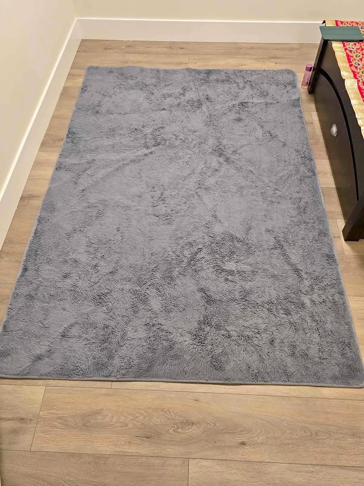Carpet Rug living room