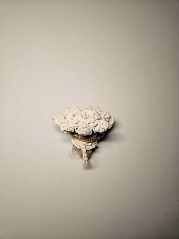 White Tulip Crochet Coaster - photo 2