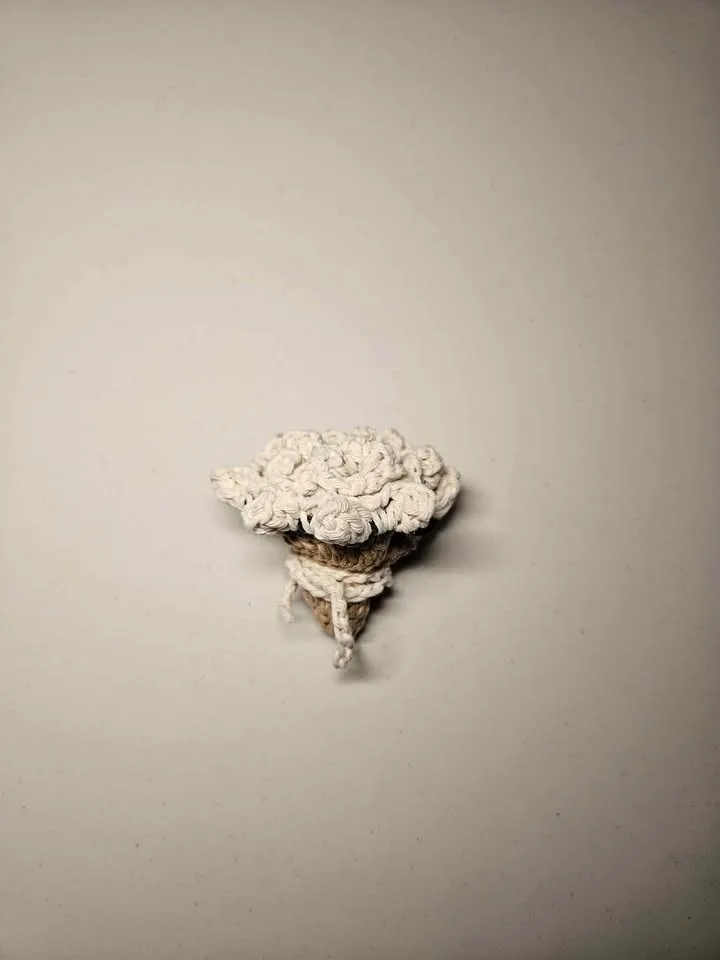 White Tulip Crochet Coaster image indicator(2)